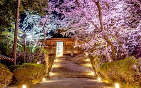 Mii-dera Temple (Onjoji Temple)